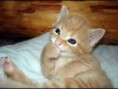 /album/fotogaleria/images-1-jpg/